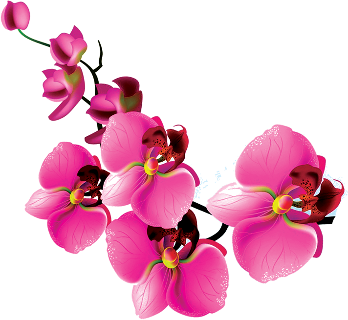 blumenmitte